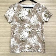 エディバウアー　Tシャツ