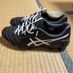 ASICS DS LIGHT X-FLY5