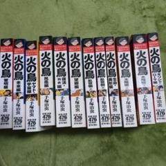 m94687076967_1.jpg?1726398270