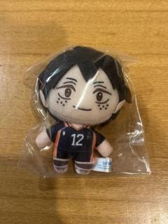 山口忠 ハイキュー セガラッキーくじ B賞 ぬいぐるみマスコット