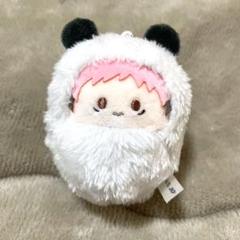 呪術廻戦 くるみたぴぬい 5個入り1BOX｜ホビーの総合通販サイト