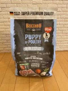 ドッグフード BELCANDO PUPPY GF POULTRY 800g & 3kg Amazon.co.jp: BELCANDO ベルカンド パピーグレインフリー