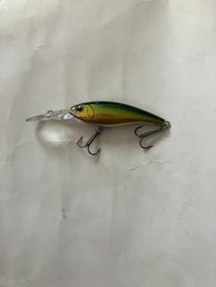 スティーズ シャッド セット＋シャッド セット① Amazon.co.jp: ダイワ(DAIWA) スティーズ シャッド 54F SR