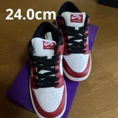 2025年最新】NIkE sb dunk low pro 