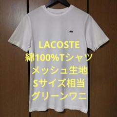 ラコステ　半袖Tシャツ　Sサイズ相当　綿100%　メッシュ生地　グリーンワニ