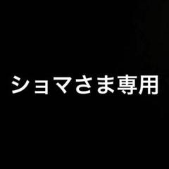 パチスロ攻略シリーズDS Vol.4 CR新世紀エヴァンゲリオン ~最後のシ者~