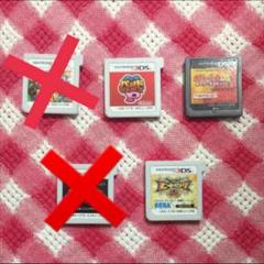 3DS/DSカセット