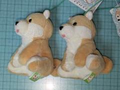 ≪10月の新商品≫くったり柴犬日本晴れ-NEW ITEM！｜アミューズ