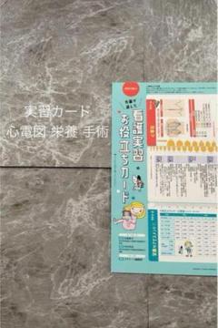 看護実習 お役立ち カード 心電図 ドレーン 術後の観察 プチナース 付録