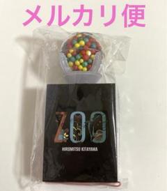 北山宏光 ZOO ペンライト 2本セット 北山宏光 ペンライト 2個セット zooΩ