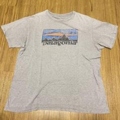 希少！Patagonia パタゴニア Tシャツ ボックスシルエット