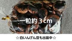 ihc⭐令和６年度　紫花豆&白いんげん豆　各約１キロ 楽天市場】白花豆 (白いんげん) (1kg) 令和6年 北海道産