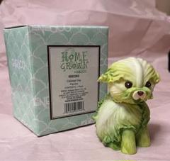 Enesco社　Home Grown Cabbage Dog 置物