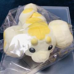 ポケモン★♥パピモッチ♥★おすわり　ぬいぐるみ★ポケモンセンター 51jEtS6PUDL._UF350,350_QL80_.jpg