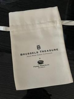 ピエールマルコリーニ　マルコリーニ　巾着　白　ホワイト　未使用のサムネイル