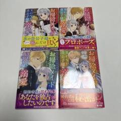 婚約破棄されたのでお掃除メイドになったら笑わない貴公子様に溺愛されました 1-4