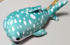 ジンベエザメ もちもちぬいぐるみ プライズ品のサムネイル