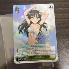 ヴァイスシュヴァルツ 佐天涙子 サイン 2025年最新】佐天 サインの人気アイテム - メルカリ