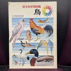 旺文社学習図鑑　5巻　鳥のサムネイル