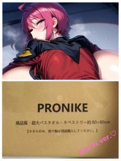 ルナマリア調 クッションカバー タペストリー バトルスーツ 制服版 新品未開封のサムネイル