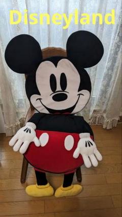 レアDisneylandミッキークッションシート