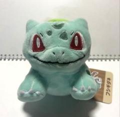 ポケモンフィット　フシギダネ　ぬいぐるみ