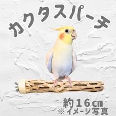お待たせ! 鳥用品 止まり木 カクタス スケルトン パーチ 中細 No.521 止まり木