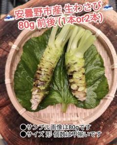【大サイズ】300g前後 信州 安曇野 沢わさび 生わさび あづみ野 山葵 50g前後 信州 安曇野 本わさび 生ワサビ あづみ野 山葵 沢わさび