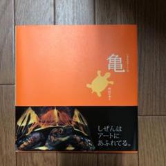 亀 いきものアート 内山りゅう 写真集 ポストカード付