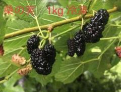 無農薬　山梨県産　桑の実　4kg(クール便) 無農薬 山梨県産 桑の実 4kg(クール便) - メルカリ