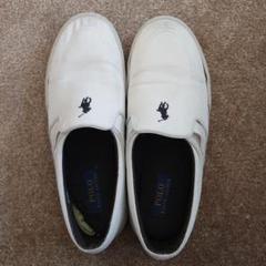 POLO RALPH LAUREN ホワイト スリッポン