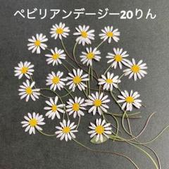 希少本 MARCEL GASCOIN 作品集 ペリアン プルーヴェ アアルト