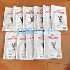  CANIN 糖コントロール 細切りチャンクイングレービー ユリナリーS/O 細切りチャンクイングレービー （小島獣医科病院