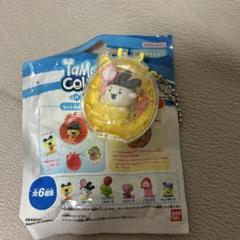 tamagotchi collectibles hobby time 新品
