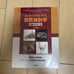 カラーアトラス 獣医解剖学 下巻 - メルカリ