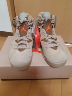Travis Scott × Nike Air Jordan 6 27.5cm