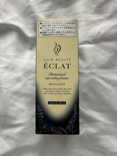 【新品】ÉCLAT ボタニカルエアカラーフォーム ナチュラルブラック2点セット 71H6aeOPpzL._UF894,1000_QL80_.jpg