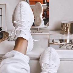 adidas yeezy boost 350 V2