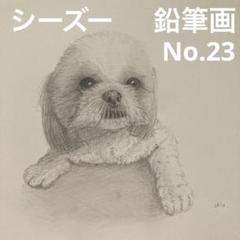 【鉛筆画】 【シーズー　No.23】絵　原画　犬