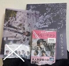 2025年最新】杉咲花サインの人気アイテム - メルカリ