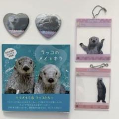 Amazon.co.jp: ラッコのメイとキラ写真集 : おもちゃ