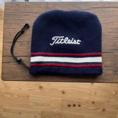 Titleist アイアン用ヘッドカバー