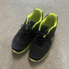 NIKE スニーカー　ランニング　シューズ　25.0cmのサムネイル