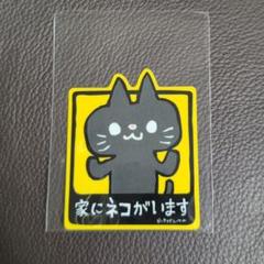 ビーサイドレーベル ネコ企画③ セット 1992842958.jpg?1691373171