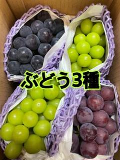 葡萄の枝様 リクエスト 2点 まとめ商品 葡萄の枝様 リクエスト 2点 まとめ商品