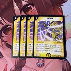 (管理番号3376) 碧玉草 ×4のサムネイル