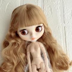 アイシードールカスタムNO.5(つけ耳ピアス有) カスタムドール アイシードール 付け耳（ピアス付き） 男の子