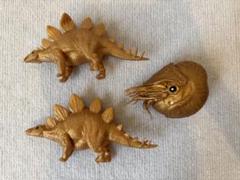 ゴールド ステゴサウルスとアンモナイト 3体セット
