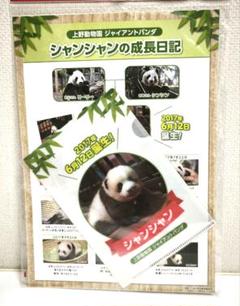 2025年最新】上野動物園クリアファイルの人気アイテム - メルカリ