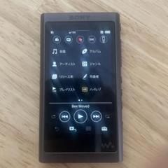 Sony NW-A5516GB 純正イヤホン付き